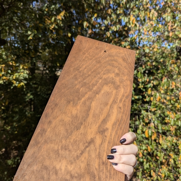 🍁 Vintage Owl Wooden Goblincore Cottage core Wall Plaque 🍁 - Picture 4 of 11